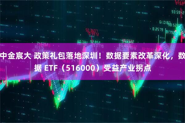 中金宸大 政策礼包落地深圳！数据要素改革深化，数据 ETF（516000）受益产业拐点