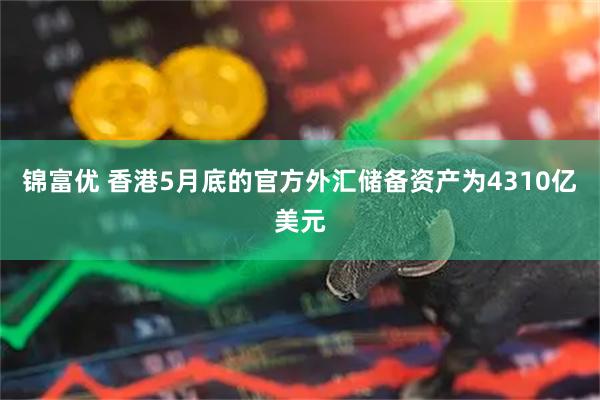 锦富优 香港5月底的官方外汇储备资产为4310亿美元