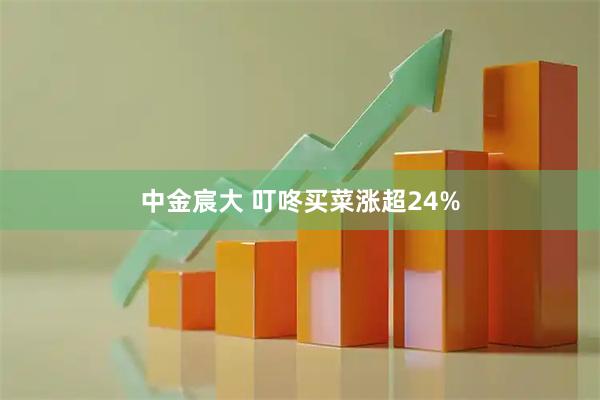 中金宸大 叮咚买菜涨超24%
