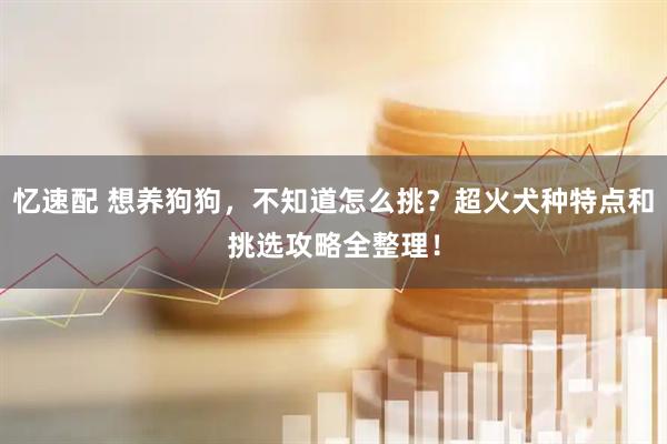 忆速配 想养狗狗，不知道怎么挑？超火犬种特点和挑选攻略全整理！